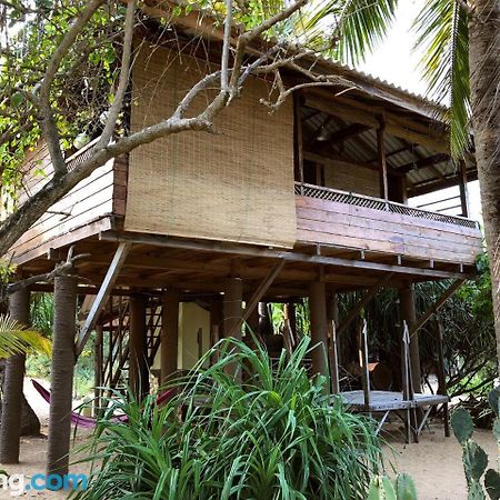Albero Cabanas Arugam Bay Exteriér fotografie
