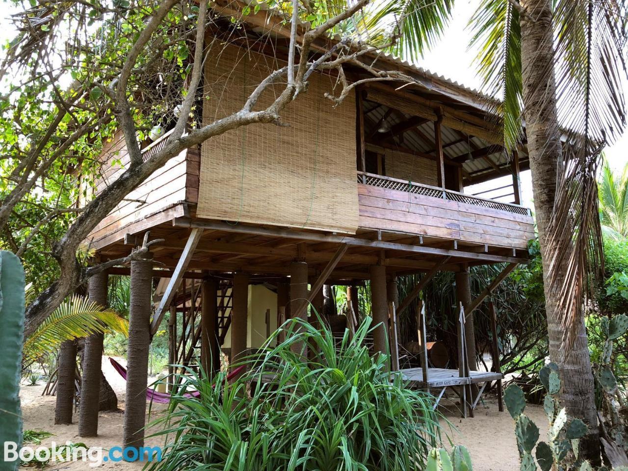 Albero Cabanas Arugam Bay Exteriér fotografie