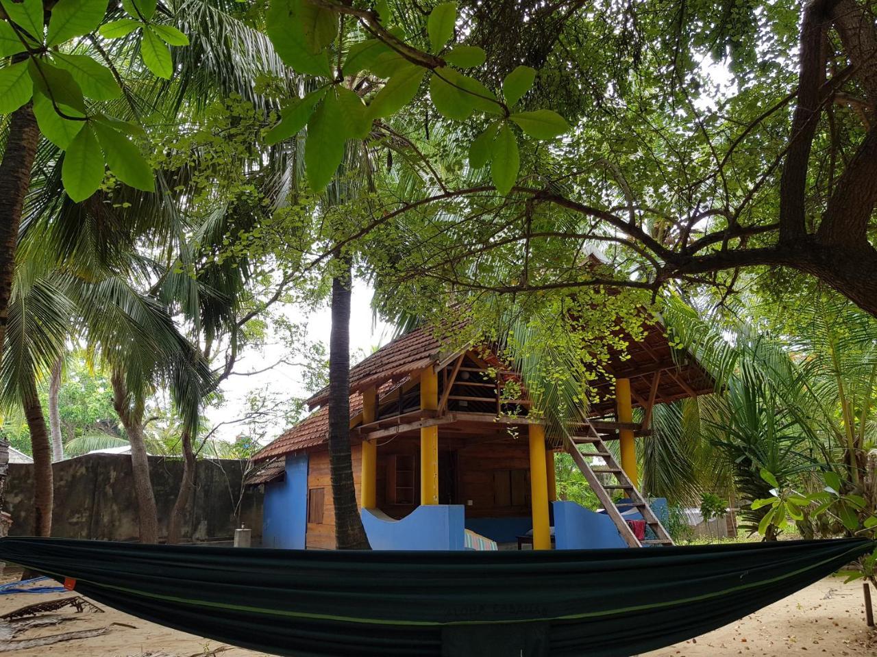 Albero Cabanas Arugam Bay Exteriér fotografie