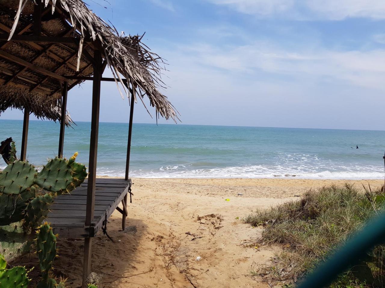 Albero Cabanas Arugam Bay Exteriér fotografie