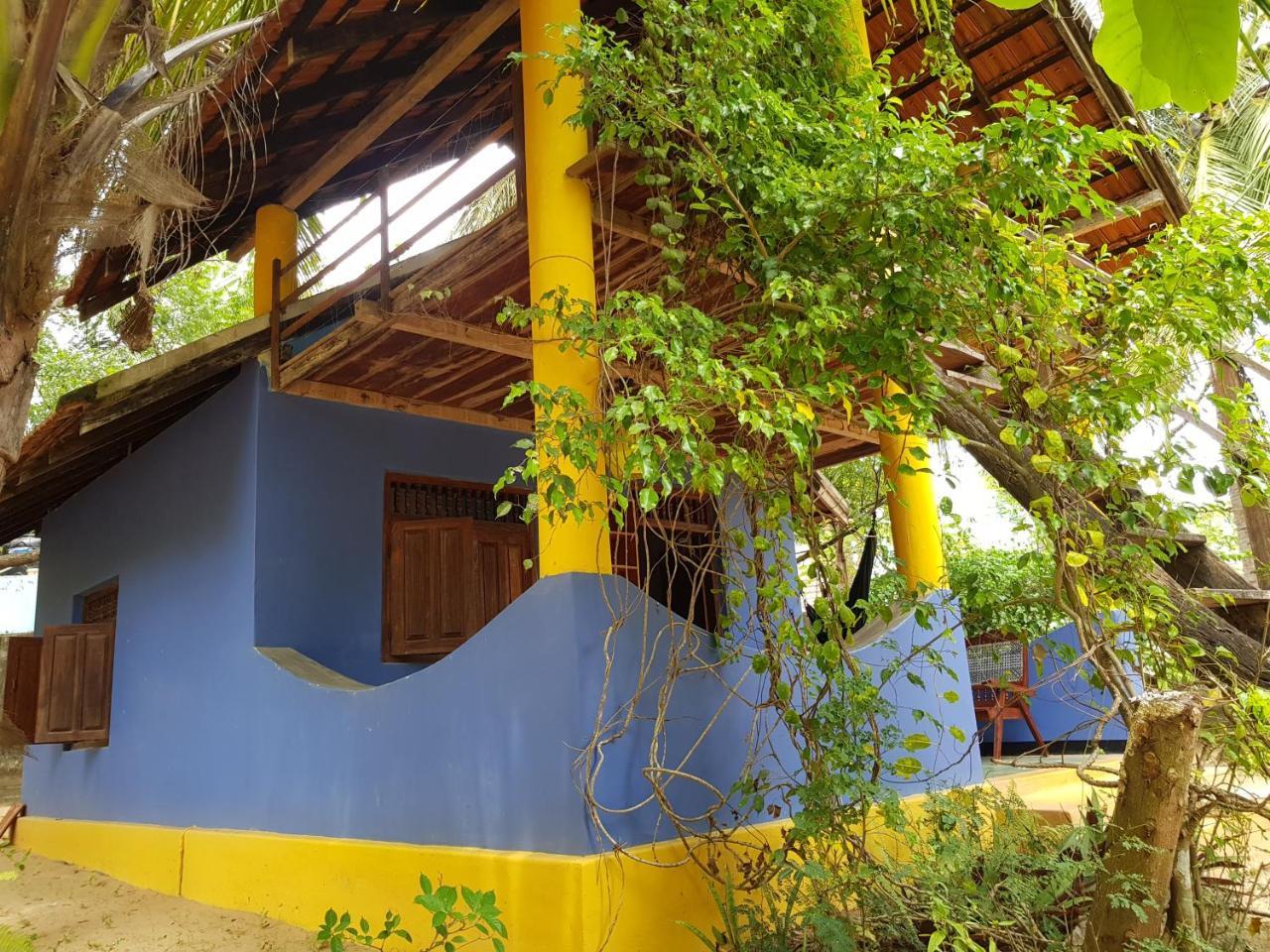 Albero Cabanas Arugam Bay Exteriér fotografie
