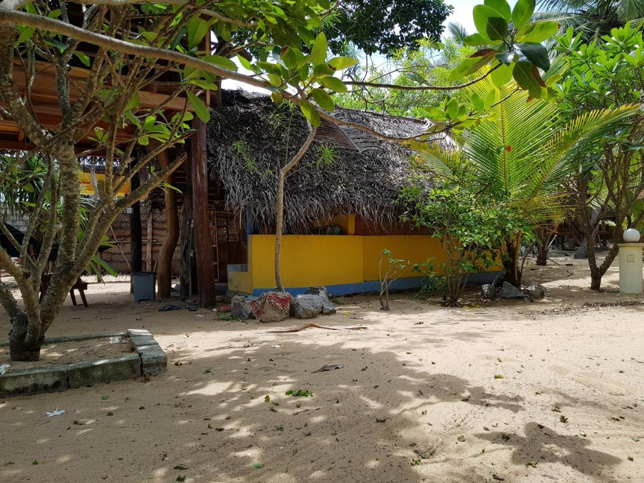 Albero Cabanas Arugam Bay Exteriér fotografie