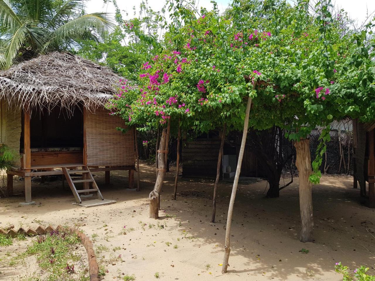 Albero Cabanas Arugam Bay Exteriér fotografie